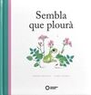 SEMBLA QUE PLOURÀ