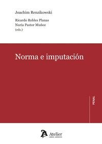 NORMA E IMPUTACION