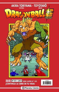 DRAGON BALL SERIE ROJA Nº313