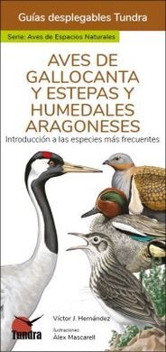 AVES DE GALLOCANTA Y ESTEPAS Y HUMEDALES ARAGONESE