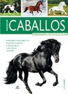 RAZAS DE CABALLOS DE LA A A LA Z