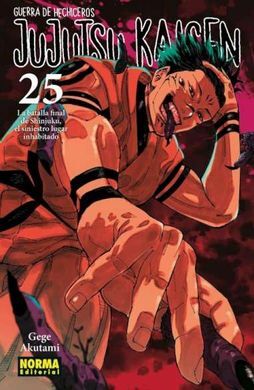 JUJUTSU KAISEN 25